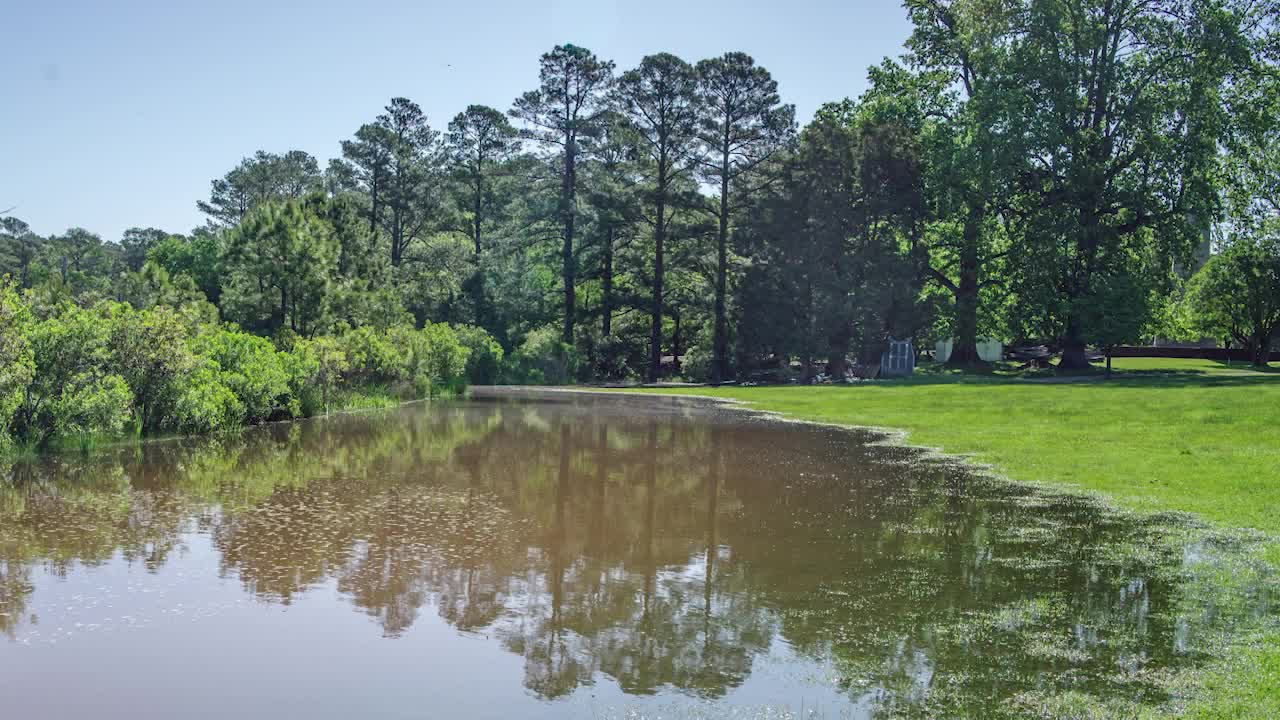 Dig Deeper: Good Vibrations - Drilling into the Mysteries Beneath the Pitch and Tar Swamp