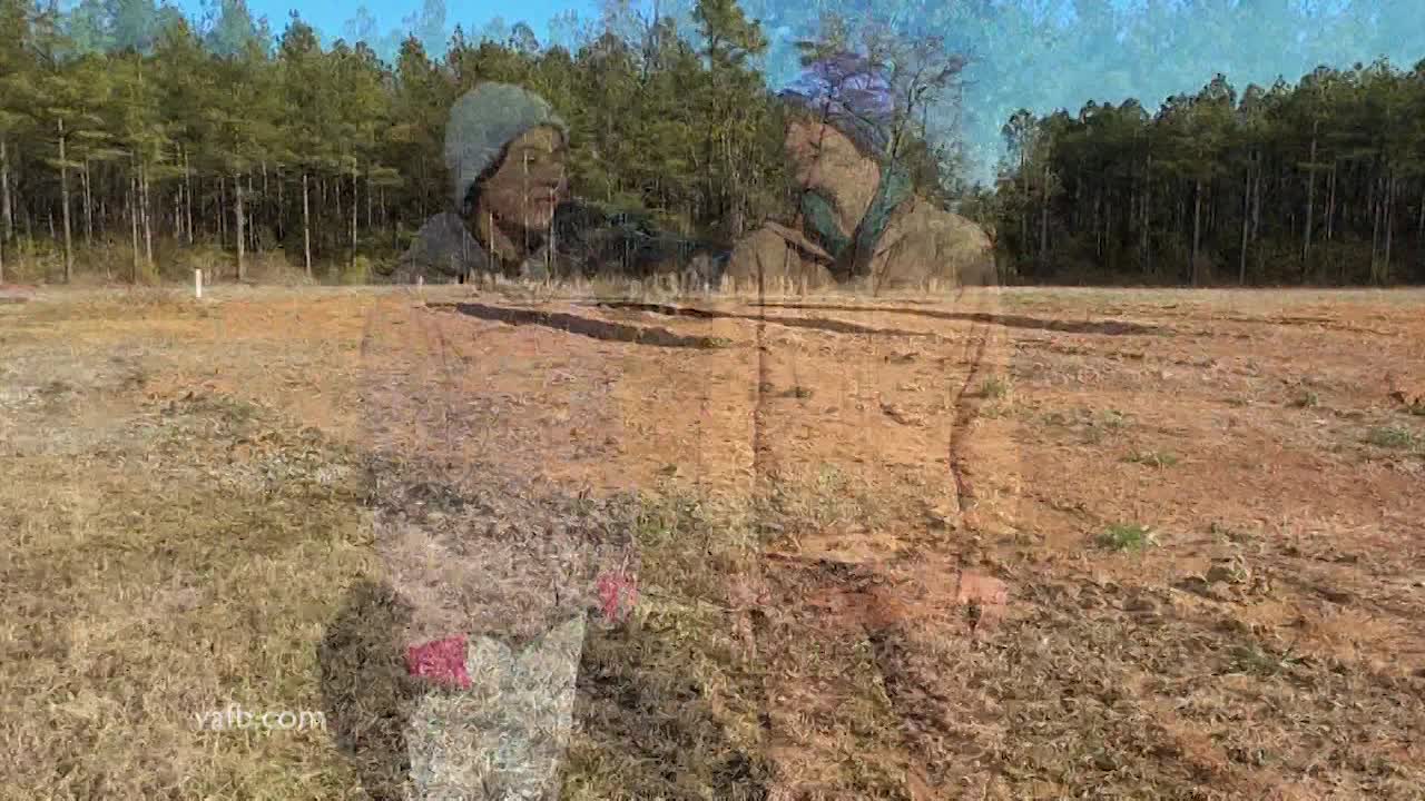 Thumbnail image for Real Virginia February A 2024