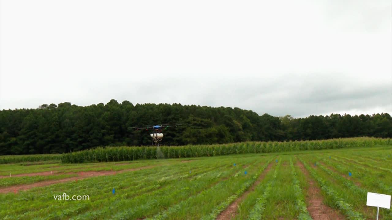 Thumbnail image for Real Virginia August B 2024