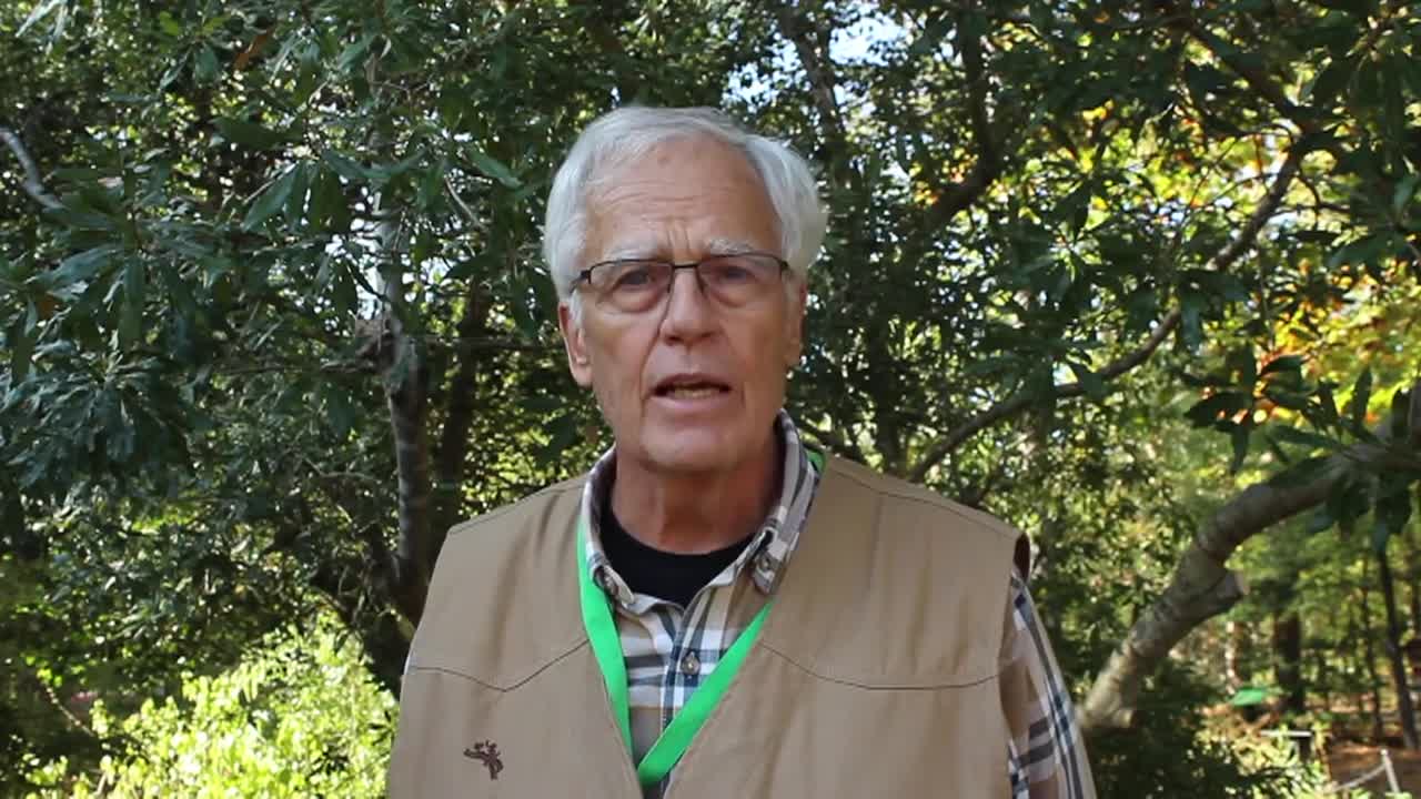 Thumbnail image for Pruning Essentials: How Do We Prune?