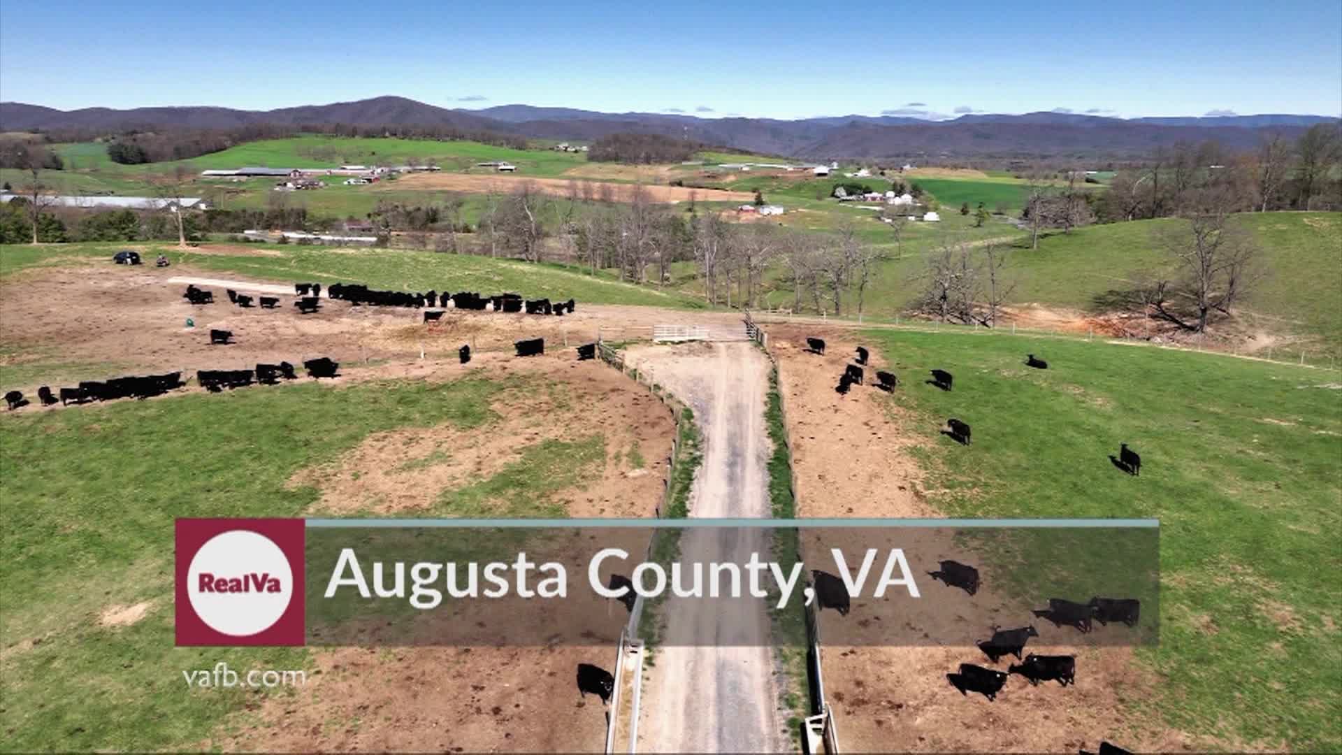 Thumbnail image for Real Virginia May A 2025