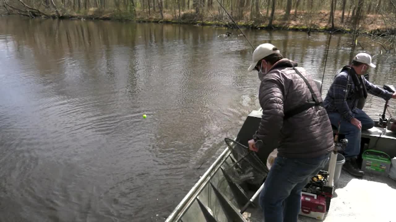 Virginia Fishing Report - Fishing Back Bay Virginia