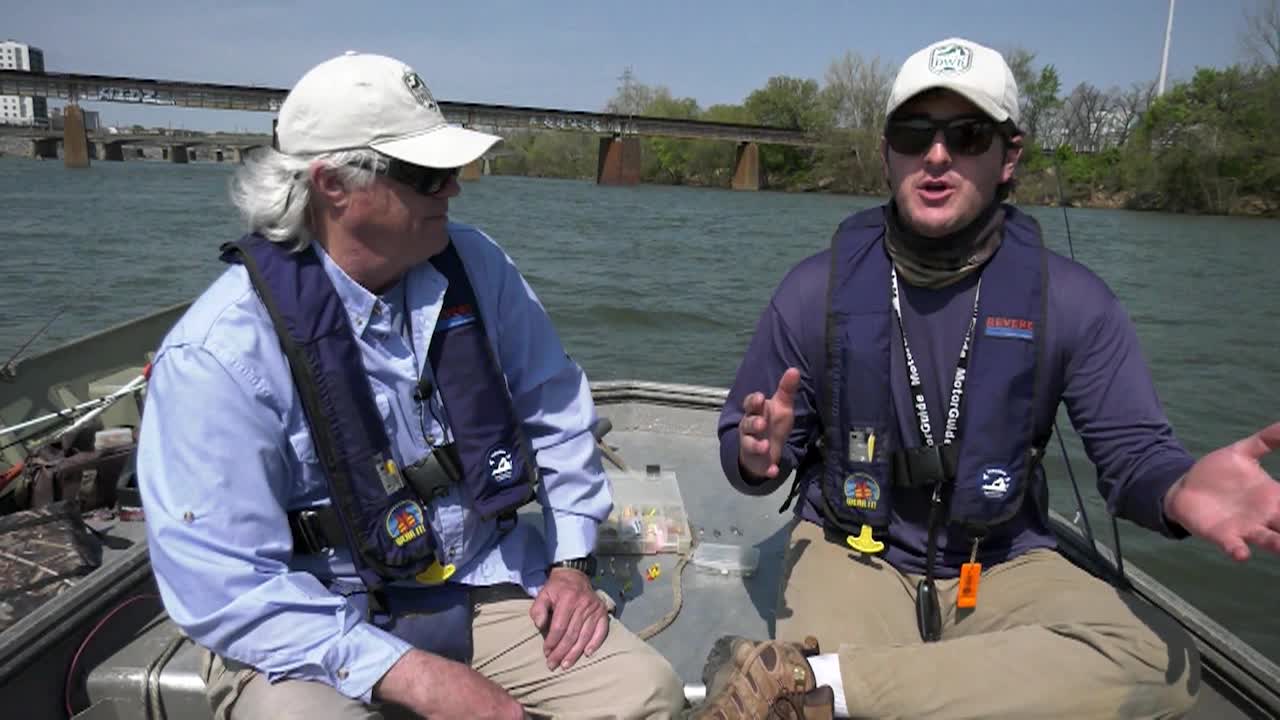 Virginia Fishing Report - Shad Fishing the James River