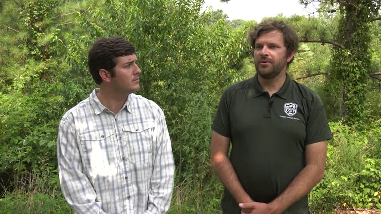 Virginia Fishing Report - Largemouth Bass on the Chickahominy River