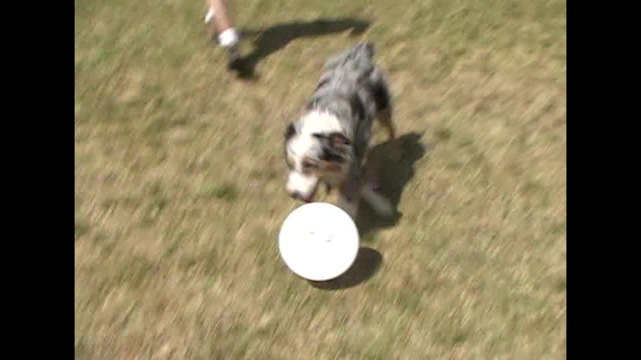 Out and About - Big League Dreams & Iron Dog Days, Part 2