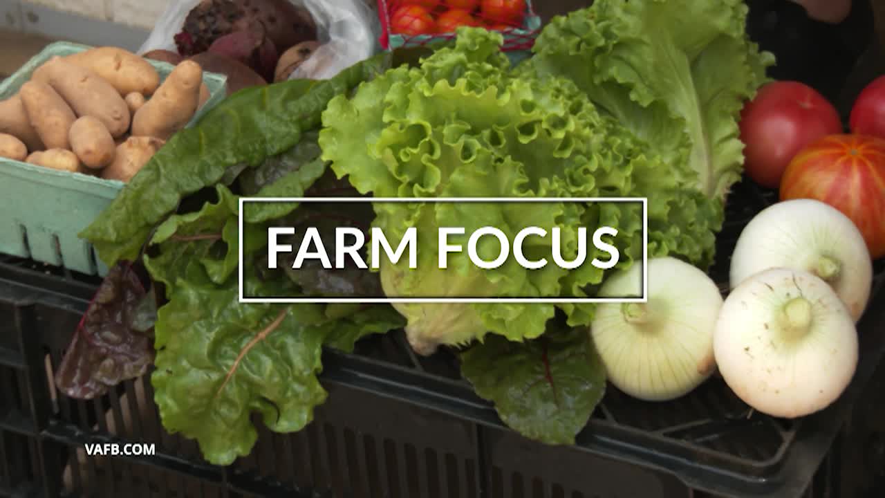 Real Virginia November B 2025