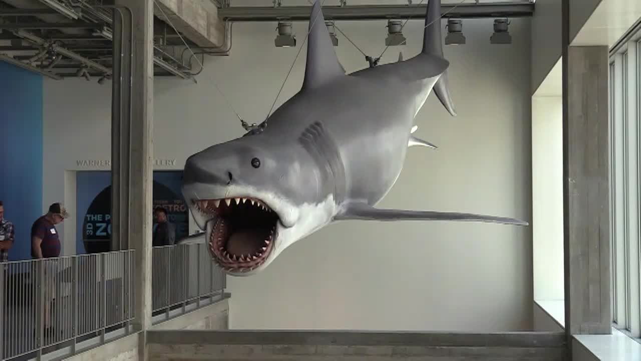 Out and About - Jaws: The Exhibition & Heal the Bay Beach Clean Up