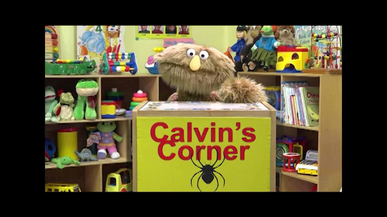 Calvin's Corner - Spiders