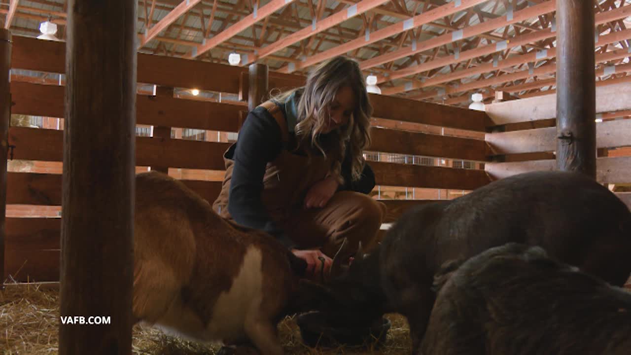 Real Virginia March A 2026