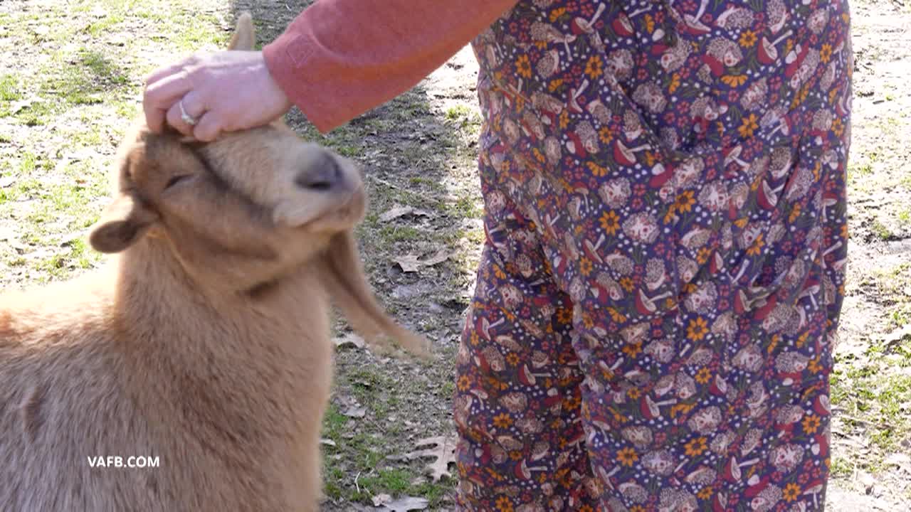 Real Virginia March B 2026