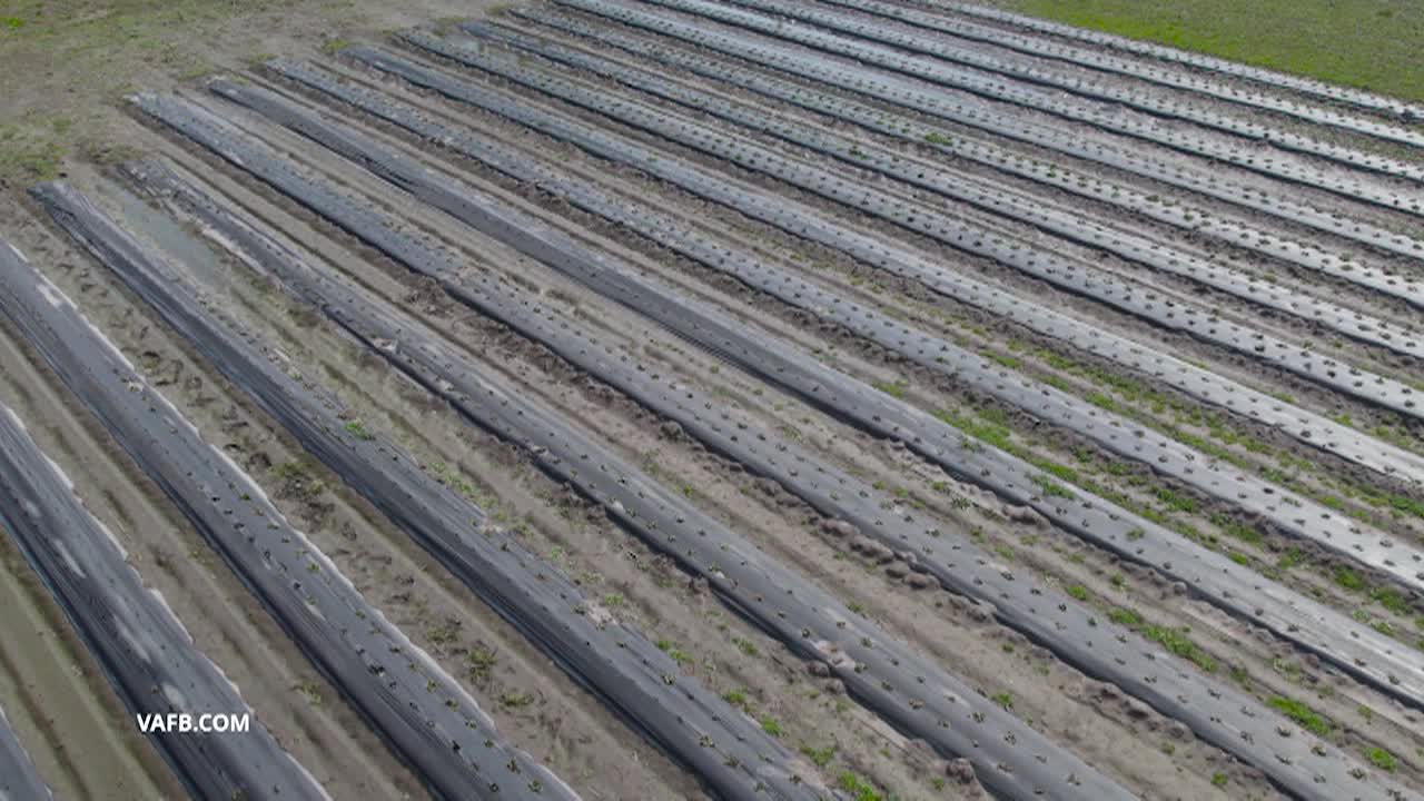 Real Virginia April A 2026