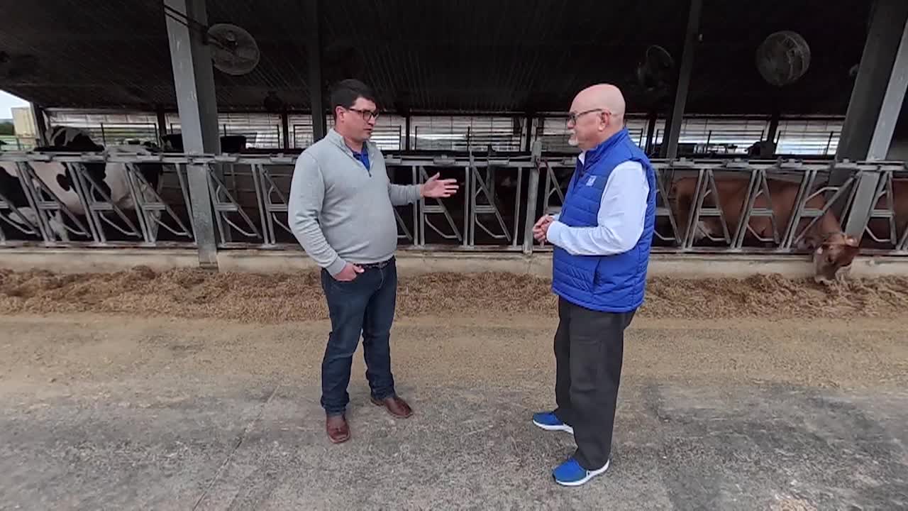 Thumbnail image for Out of the Blue: From Farm to Store, See How It's Made- World Famous Chocolate Milk