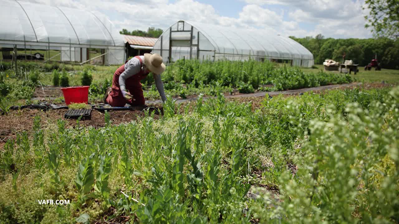 Thumbnail image for Real Virginia May B 2026