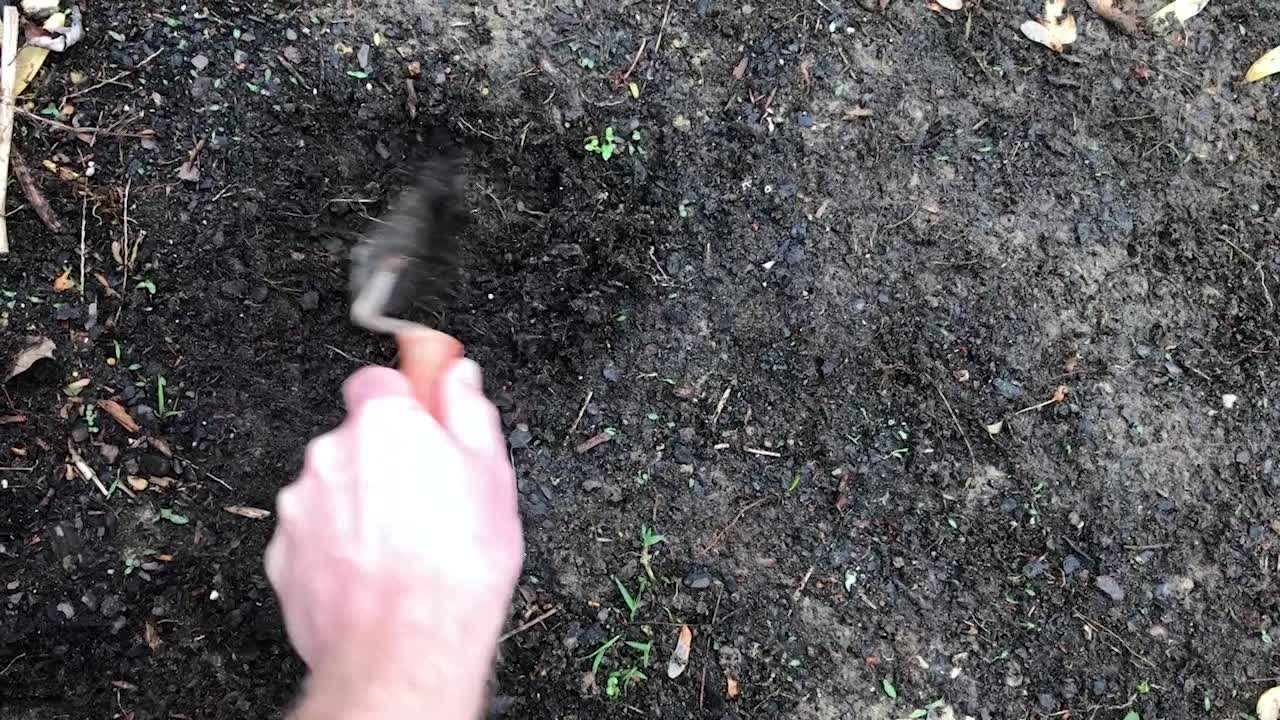 Dig Deeper: The Jack of Plate Armor, Part I Recovery and Conservation