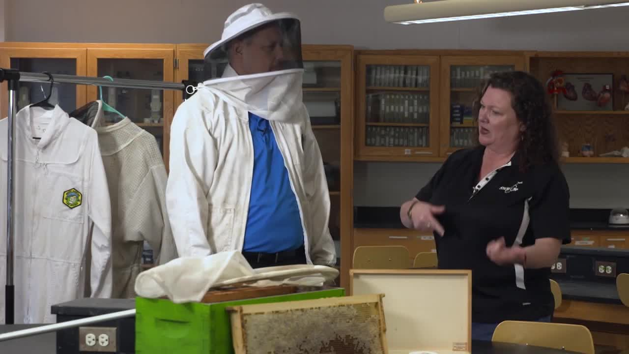 STEM in 30: Buzz the Tower - Bees and Aerospace